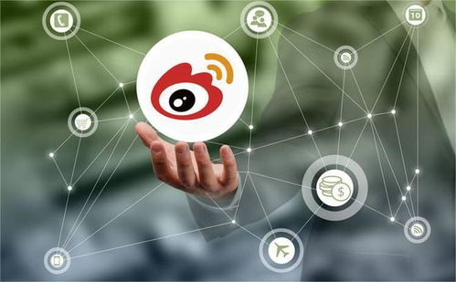 发力垂直领域，微博广告业务实现稳健复苏